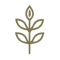 icon1